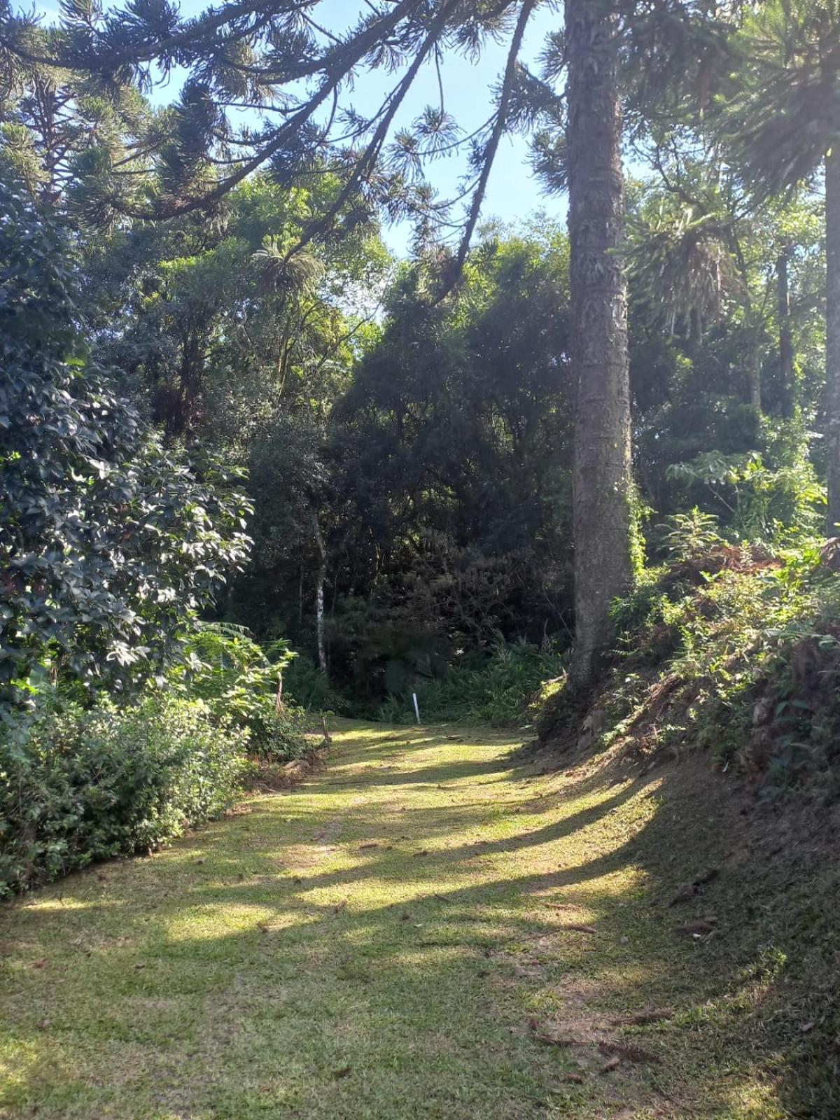 Casa Ampla E Aconchegante Em Gramadoヴィラ エクステリア 写真
