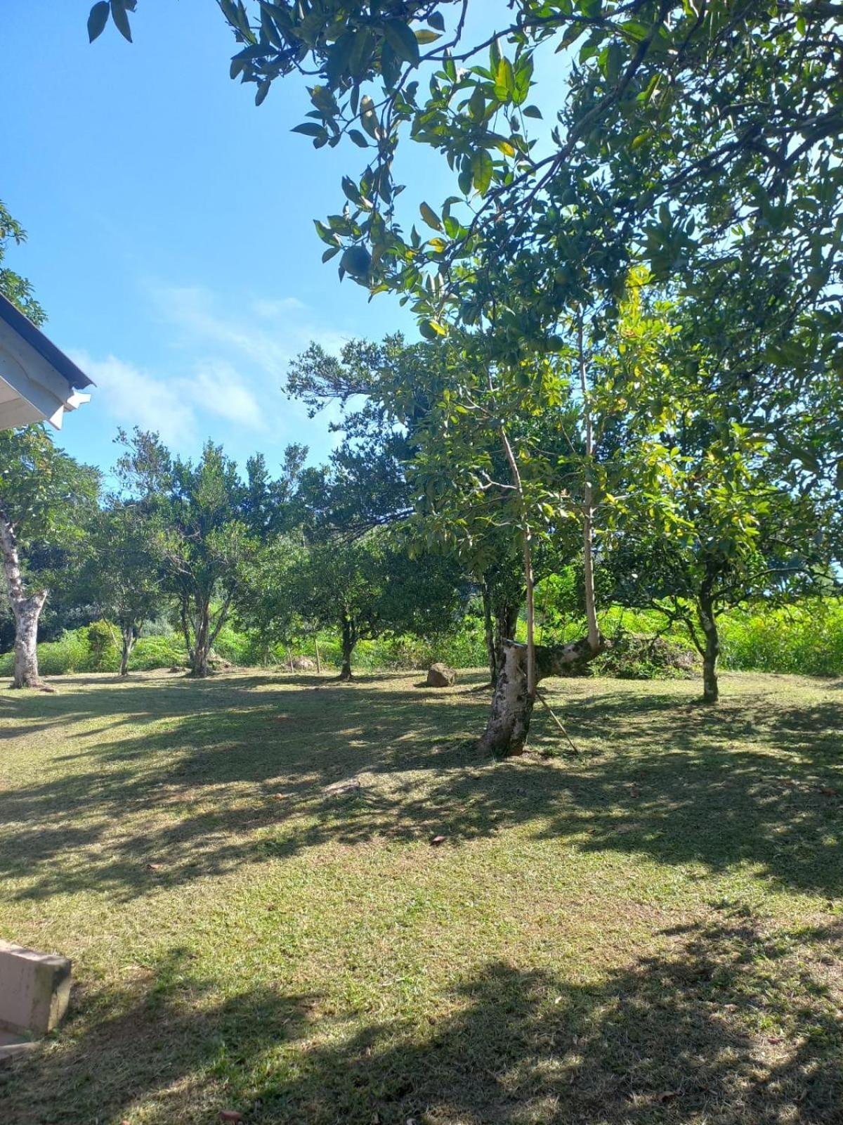 Casa Ampla E Aconchegante Em Gramadoヴィラ エクステリア 写真